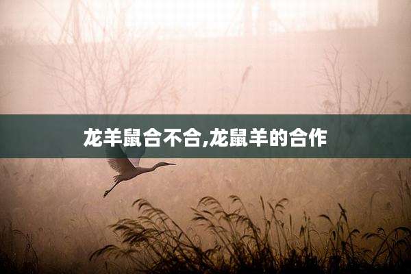 龙羊鼠合不合,龙鼠羊的合作