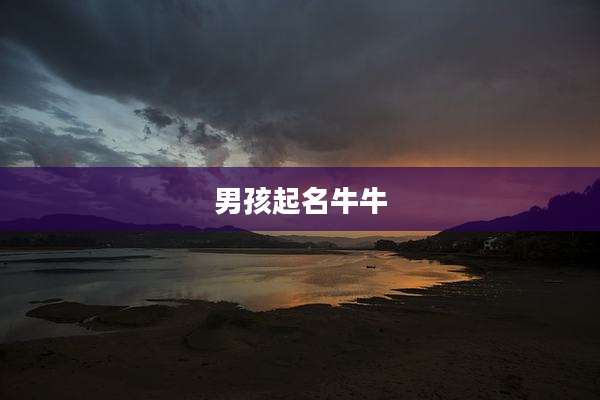 男孩起名牛牛