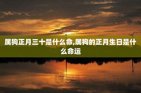 属狗正月三十是什么命,属狗的正月生日是什么命运