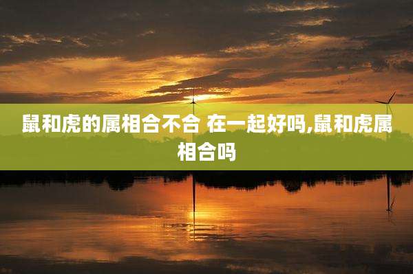 鼠和虎的属相合不合 在一起好吗,鼠和虎属相合吗