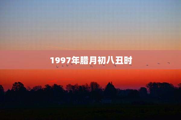 1997年腊月初八丑时