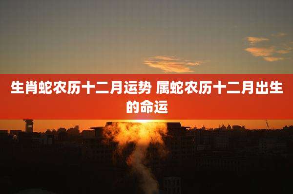 生肖蛇农历十二月运势 属蛇农历十二月出生的命运