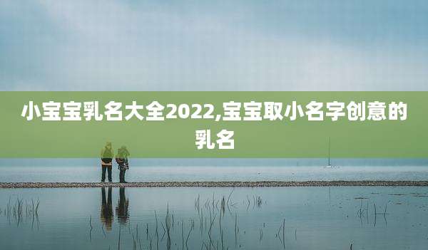 小宝宝乳名大全2022,宝宝取小名字创意的乳名