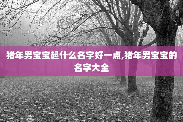 猪年男宝宝起什么名字好一点,猪年男宝宝的名字大全