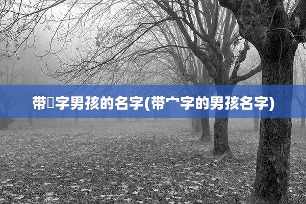 带珮字男孩的名字(带宀字的男孩名字)