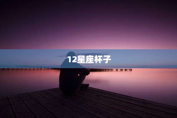 12星座杯子