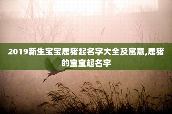 2019新生宝宝属猪起名字大全及寓意,属猪的宝宝起名字