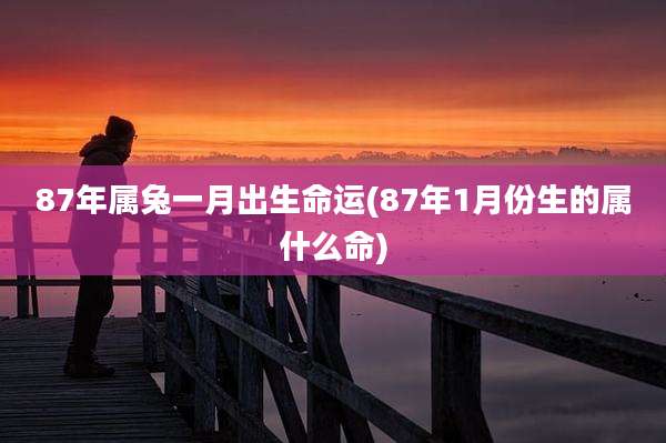 87年属兔一月出生命运(87年1月份生的属什么命)