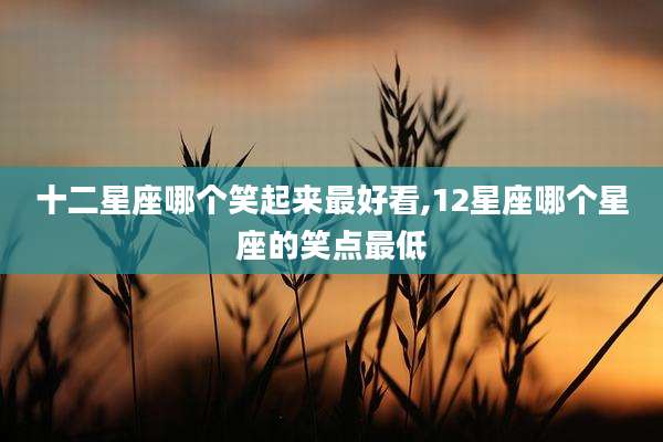 十二星座哪个笑起来最好看,12星座哪个星座的笑点最低
