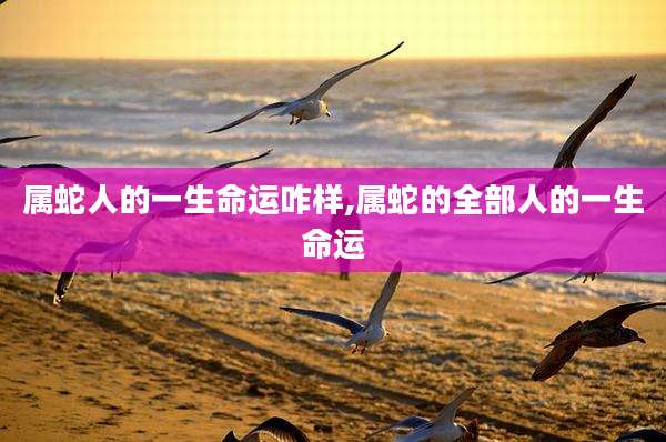 属蛇人的一生命运咋样,属蛇的全部人的一生命运