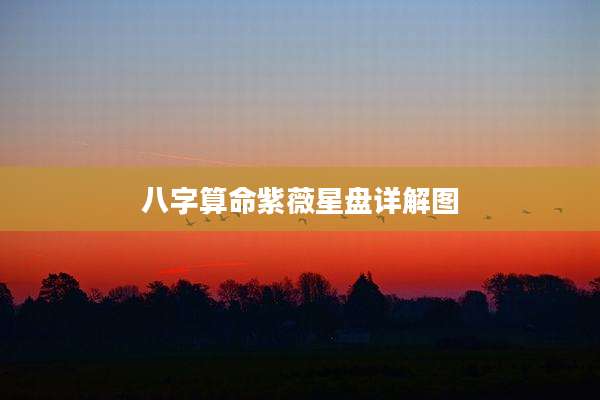 八字算命紫薇星盘详解图
