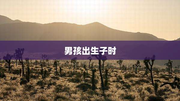 男孩出生子时