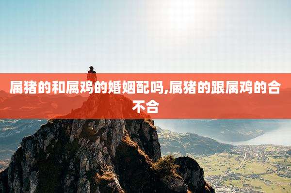 属猪的和属鸡的婚姻配吗,属猪的跟属鸡的合不合