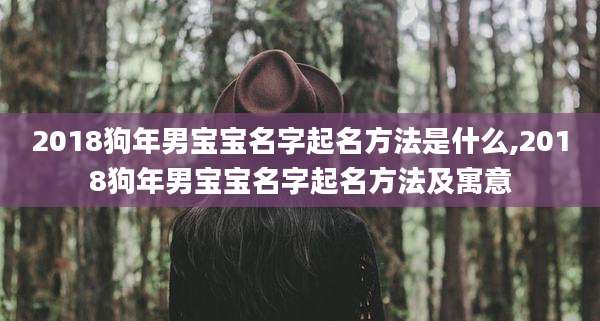 2018狗年男宝宝名字起名方法是什么,2018狗年男宝宝名字起名方法及寓意