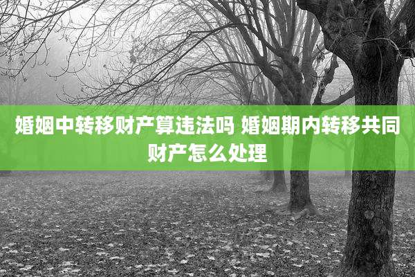 婚姻中转移财产算违法吗 婚姻期内转移共同财产怎么处理