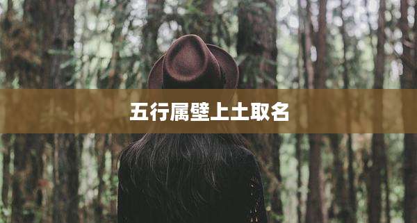 五行属壁上土取名