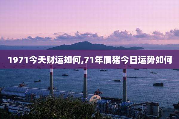 1971今天财运如何,71年属猪今日运势如何