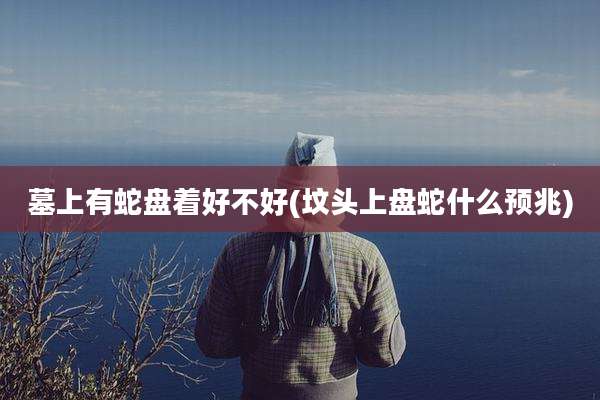 墓上有蛇盘着好不好(坟头上盘蛇什么预兆)