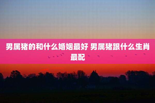 男属猪的和什么婚姻最好 男属猪跟什么生肖最配