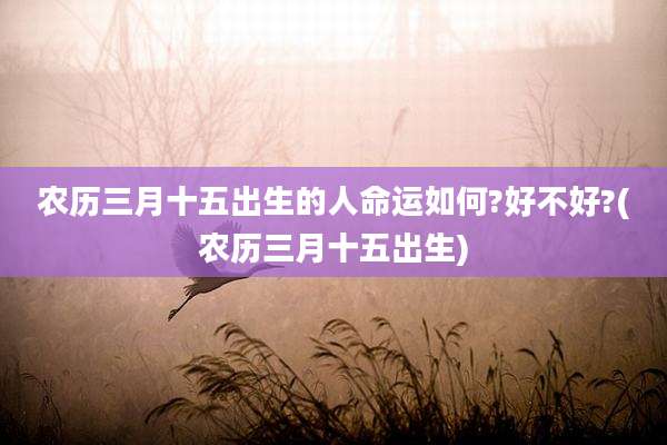 农历三月十五出生的人命运如何?好不好?(农历三月十五出生)