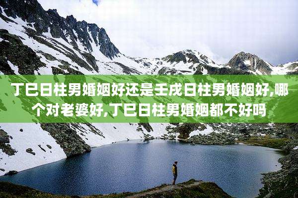 丁巳日柱男婚姻好还是壬戌日柱男婚姻好,哪个对老婆好,丁巳日柱男婚姻都不好吗