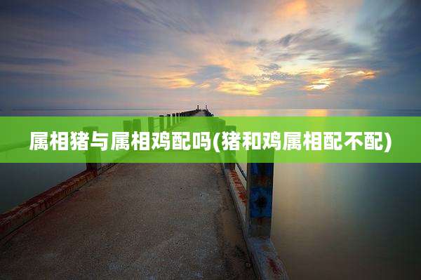 属相猪与属相鸡配吗(猪和鸡属相配不配)