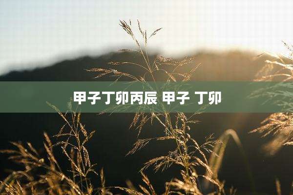甲子丁卯丙辰 甲子 丁卯