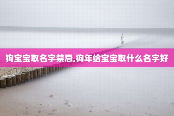 狗宝宝取名字禁忌,狗年给宝宝取什么名字好