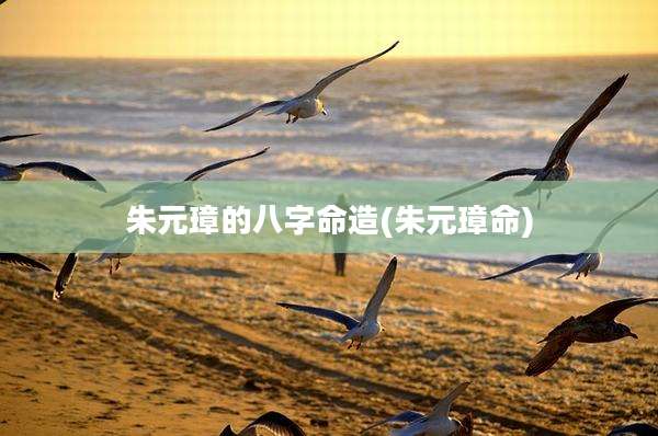 朱元璋的八字命造(朱元璋命)