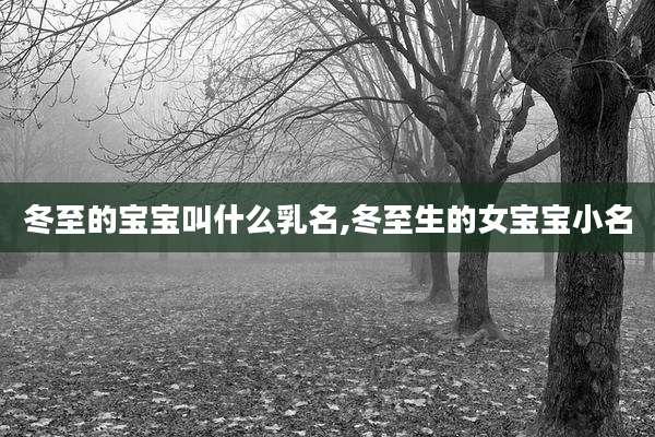 冬至的宝宝叫什么乳名,冬至生的女宝宝小名