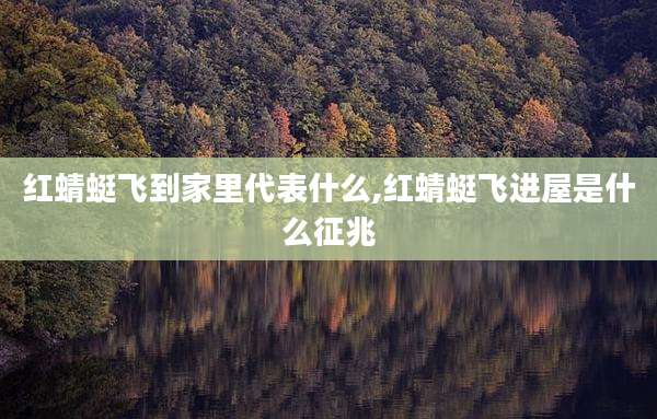 红蜻蜓飞到家里代表什么,红蜻蜓飞进屋是什么征兆
