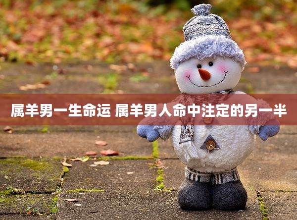 属羊男一生命运 属羊男人命中注定的另一半