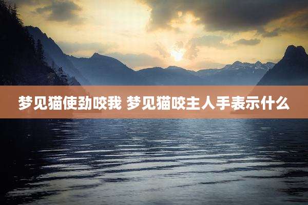 梦见猫使劲咬我 梦见猫咬主人手表示什么