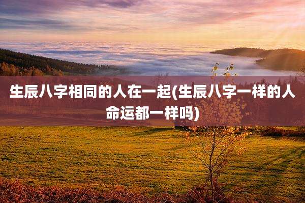 生辰八字相同的人在一起(生辰八字一样的人命运都一样吗)