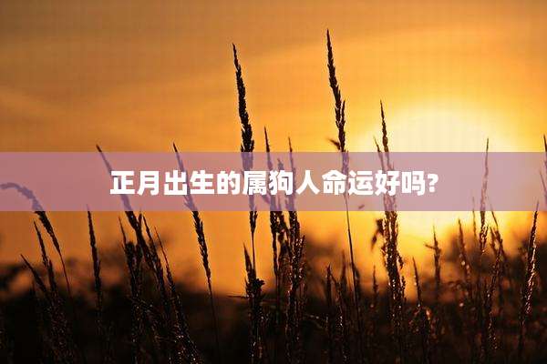正月出生的属狗人命运好吗?