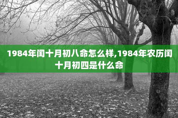 1984年闰十月初八命怎么样,1984年农历闰十月初四是什么命
