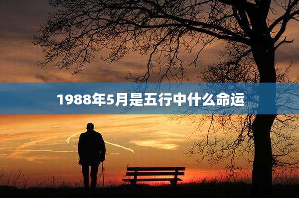 1988年5月是五行中什么命运