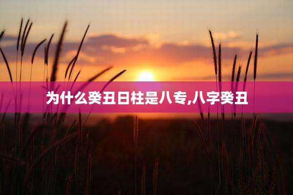 为什么癸丑日柱是八专,八字癸丑