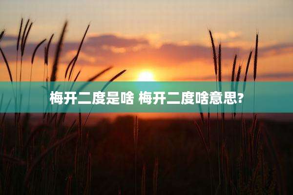 梅开二度是啥 梅开二度啥意思?