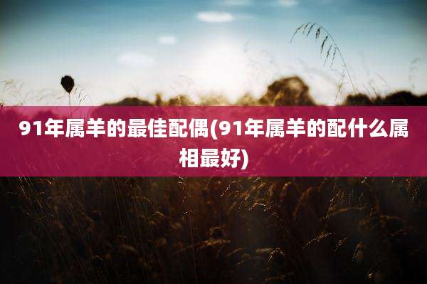 91年属羊的最佳配偶(91年属羊的配什么属相最好)