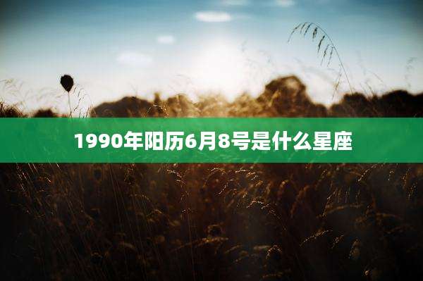 1990年阳历6月8号是什么星座
