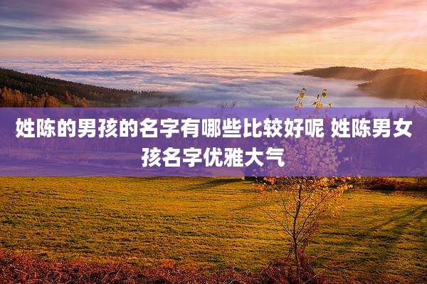姓陈的男孩的名字有哪些比较好呢 姓陈男女孩名字优雅大气
