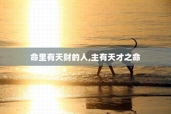 命里有天财的人,主有天才之命