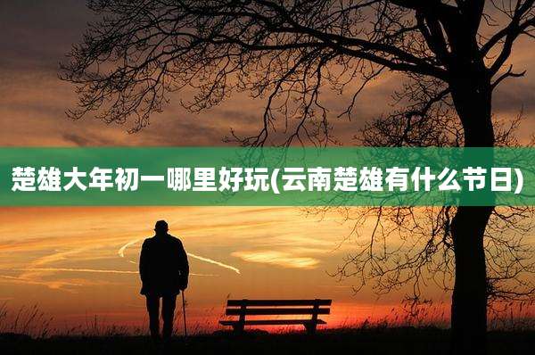 楚雄大年初一哪里好玩(云南楚雄有什么节日)