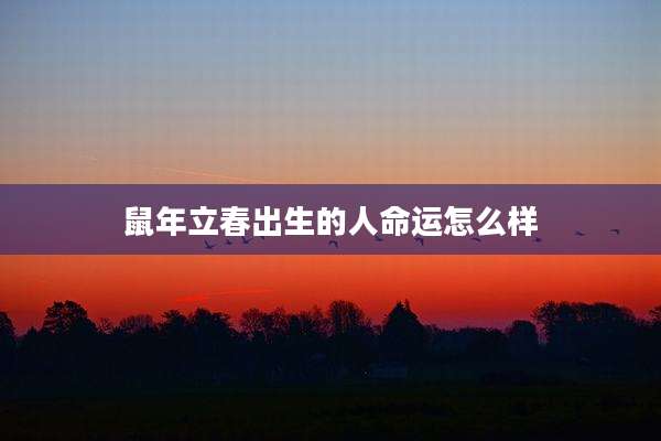 鼠年立春出生的人命运怎么样