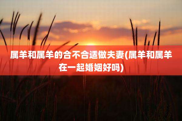属羊和属羊的合不合适做夫妻(属羊和属羊在一起婚姻好吗)