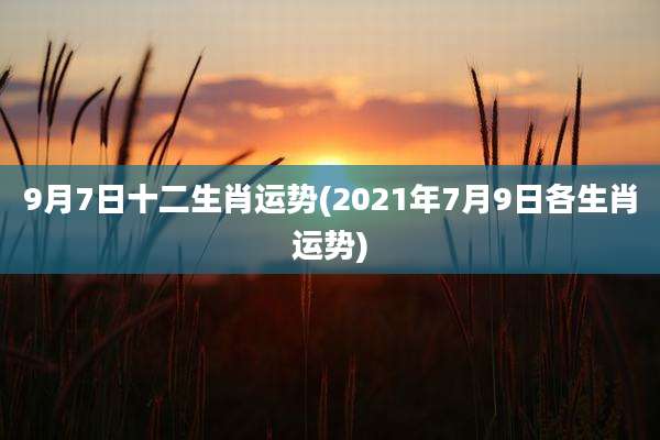 9月7日十二生肖运势(2021年7月9日各生肖运势)