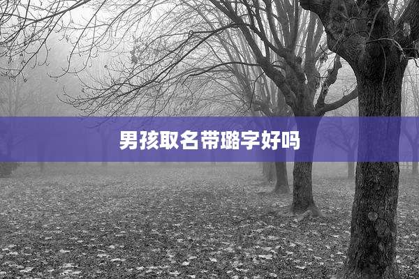男孩取名带璐字好吗