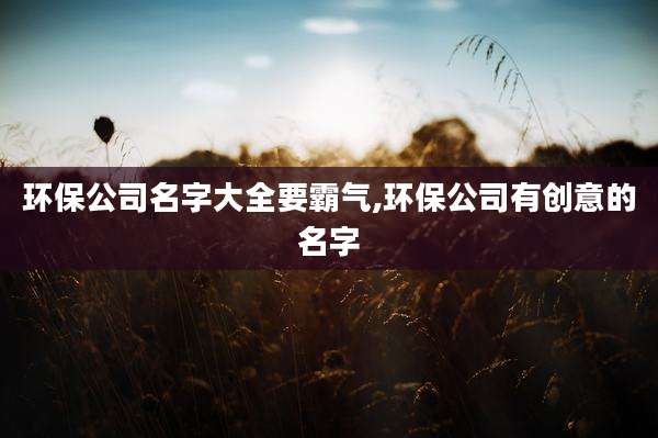 环保公司名字大全要霸气,环保公司有创意的名字