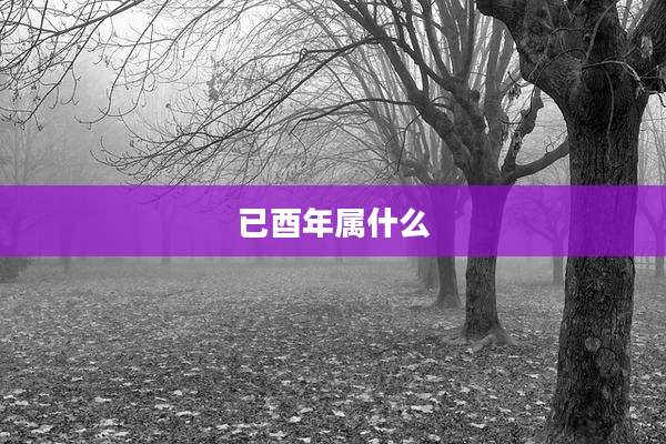 已酉年属什么